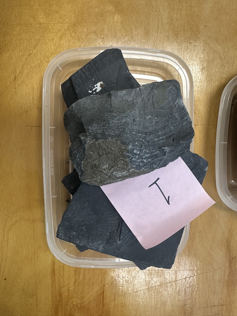 Site hosted by Neocities